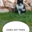 Danka